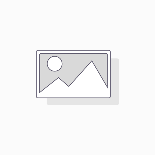 Site Debug - TEST